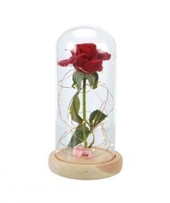 enchanted rose rose in glass dome