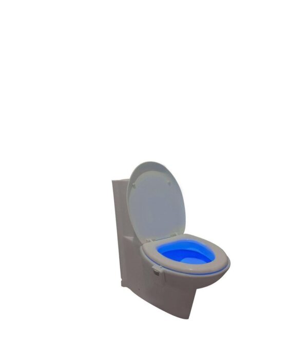 toilet light sensor