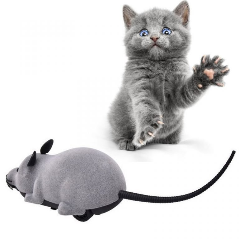 Remote Controlled Rat Cat Toy — Luxenmart Up to 80 Off, All For You