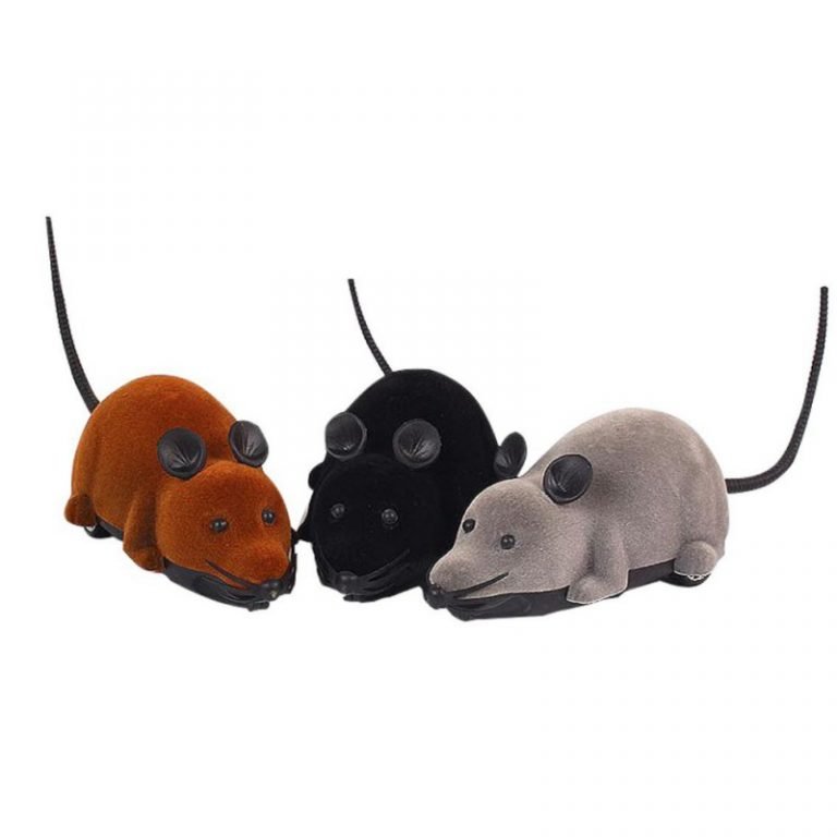 Remote Controlled Rat Cat Toy — Luxenmart Up to 80 Off, All For You