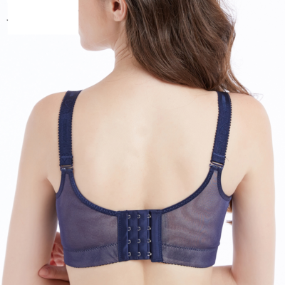 Celine Ultimate Lift Stretch Full-Figure Seamless Lace Support Bra