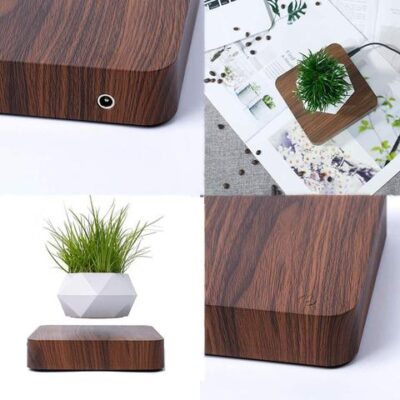 Magnetic Levitation Flower Pot