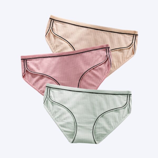 3 pcs/pack! Cotton Panties for Women Plus Size Soft Briefs Sexy Lingerie Girl Underwear Female