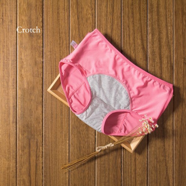 3pcs/Set Menstrual Leak Proof Panties - Incontinence Underwear Period Proof Briefs High Waist