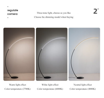 Curved Floor Lamp