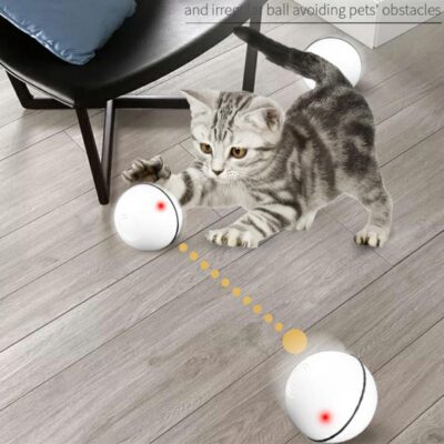 Smart Interactive Rolling Ball