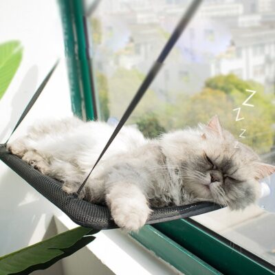 Cat Window Perch Hammock