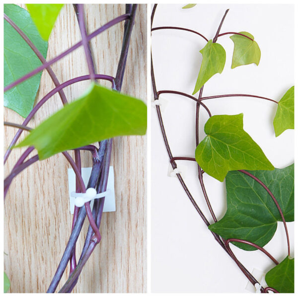 Plant climbing wall Self-Adhesive Fastener Tied fixture Vine Buckle Hook Garden plant wall climbing Vine Clips Fixed Buckle Hook
