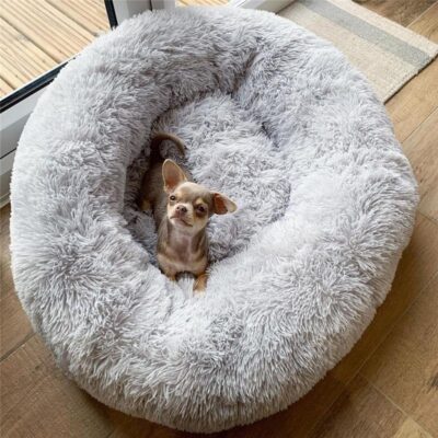 Comfy Dog & Cat Bed