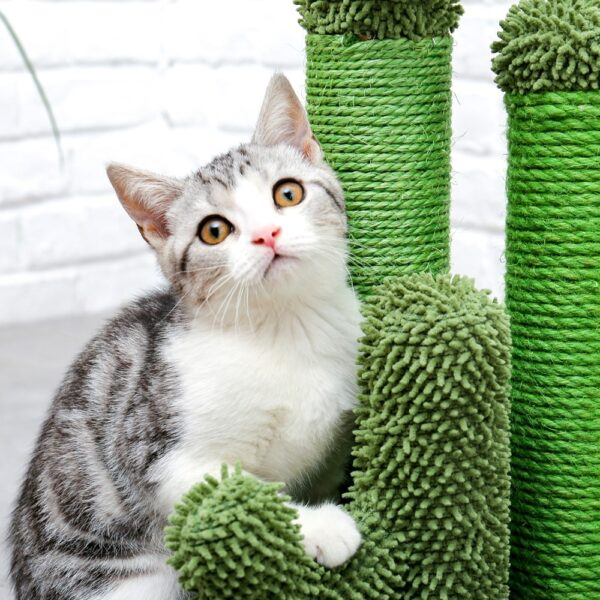 Cat Cactus Scratcher Tree