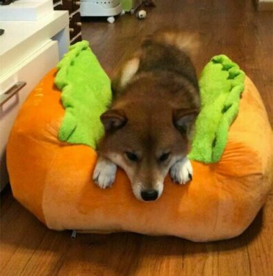 Funny Hot Dog Bed Winter Warm Pet House Creative Fashion Sofa Cushion Supplies Puppy Cat Soft Sleeping Mat Cozy Dogs Nest Kennel