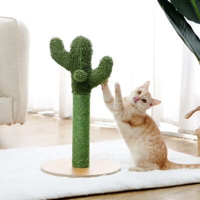 Cat Cactus Scratcher Tree