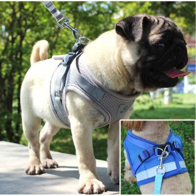 Dog Travelers Reflective Harnesswith Leash Summer Pet Adjustable Reflective Vest Walking Lead for Puppy Polyester Mesh Harness for Small Medium Dog