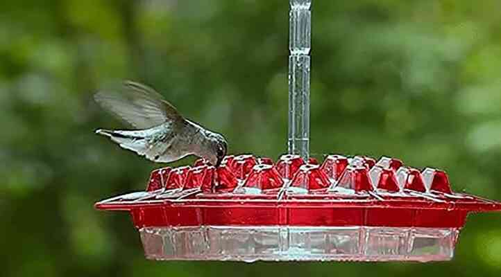 Mary's Sweety Hummingbird Feeder