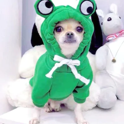 Cute Frog Dog Sweater Hoodie