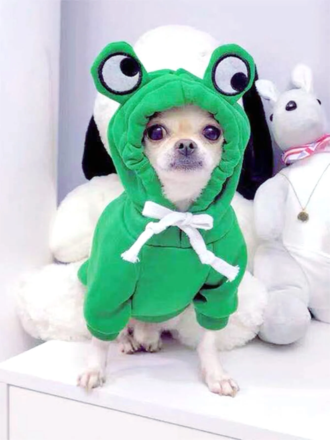 Cute Frog Dog Sweater Hoodie