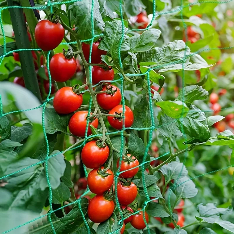 Heavy-Duty Garden Trellis Netting – view 5