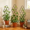 Honeycomb Plant Trellis for Pots (2-Pack)