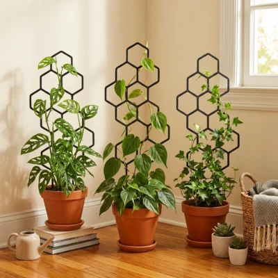 Honeycomb Plant Trellis for Pots (2-Pack)