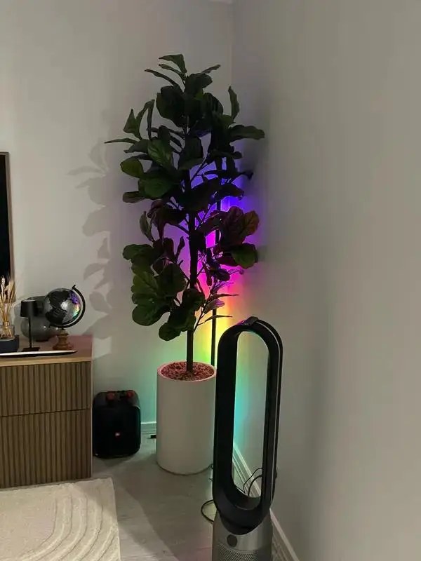Customer photo of the RGB corner floor lamp next to a plant